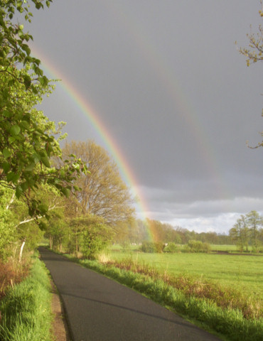 Ochsentour 2005, Liether Moor